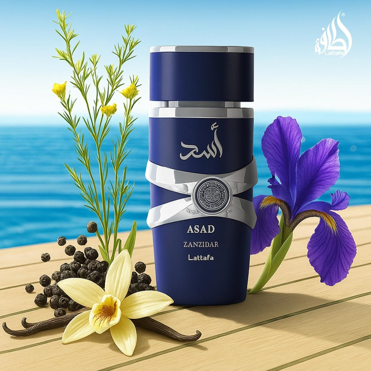 ASAD ZANZIBAR 100ml – Lattafa